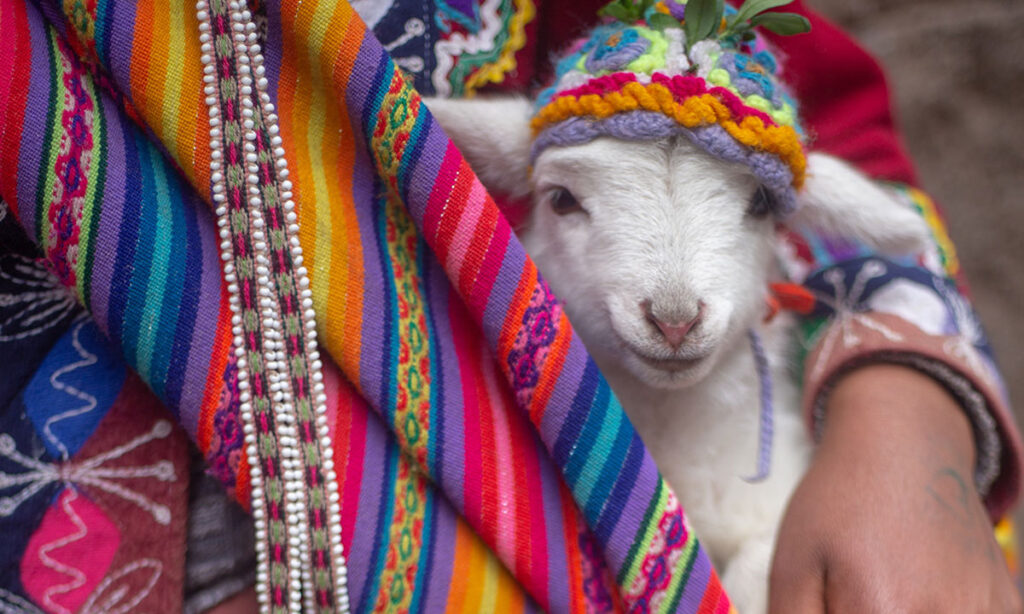 Cosas típicas de Perú - Lo más típico