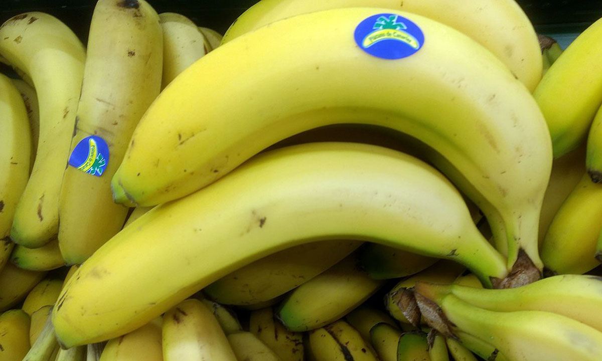 productos canarios tipicos