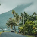 tipico de la polinesia francesa